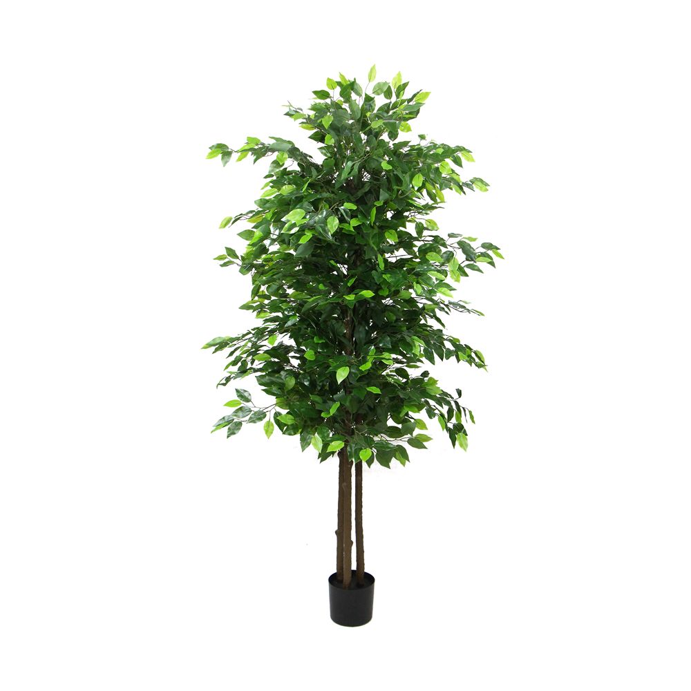 180cm Banyan Potted Tree