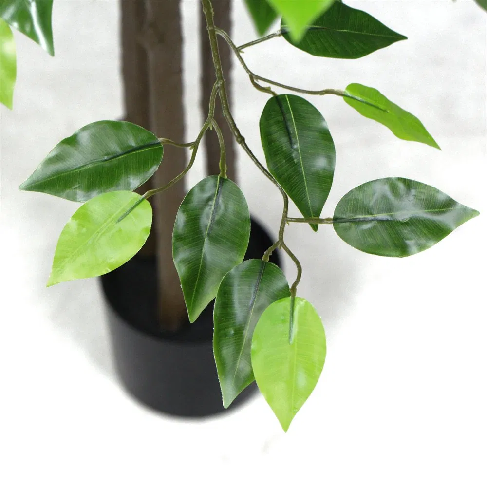 180cm Banyan Potted Tree