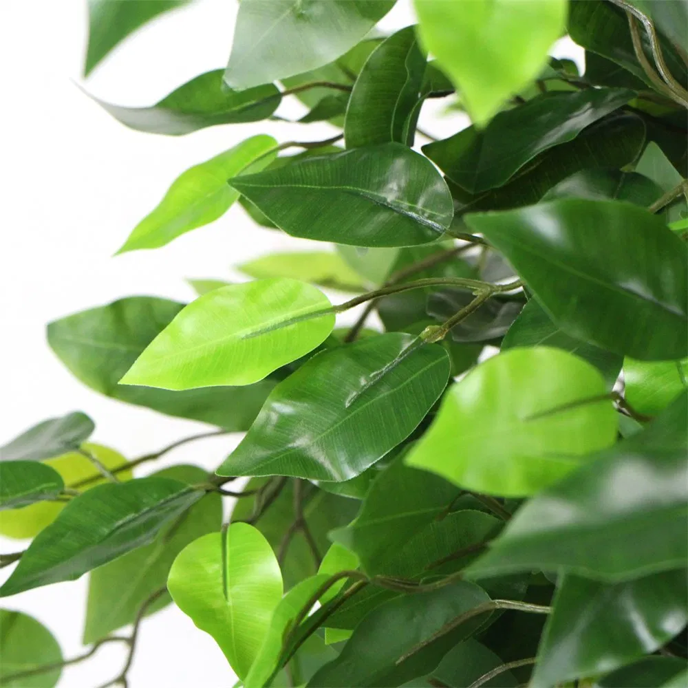 180cm Banyan Potted Tree