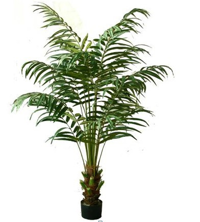 198cm Areca Palm Tree
