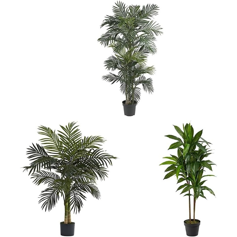 6.5FT Golden Cane Palm Tree