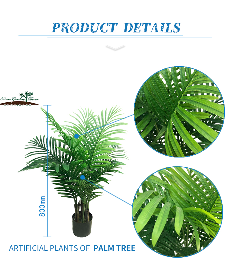 Black Potted Tabletop Palm