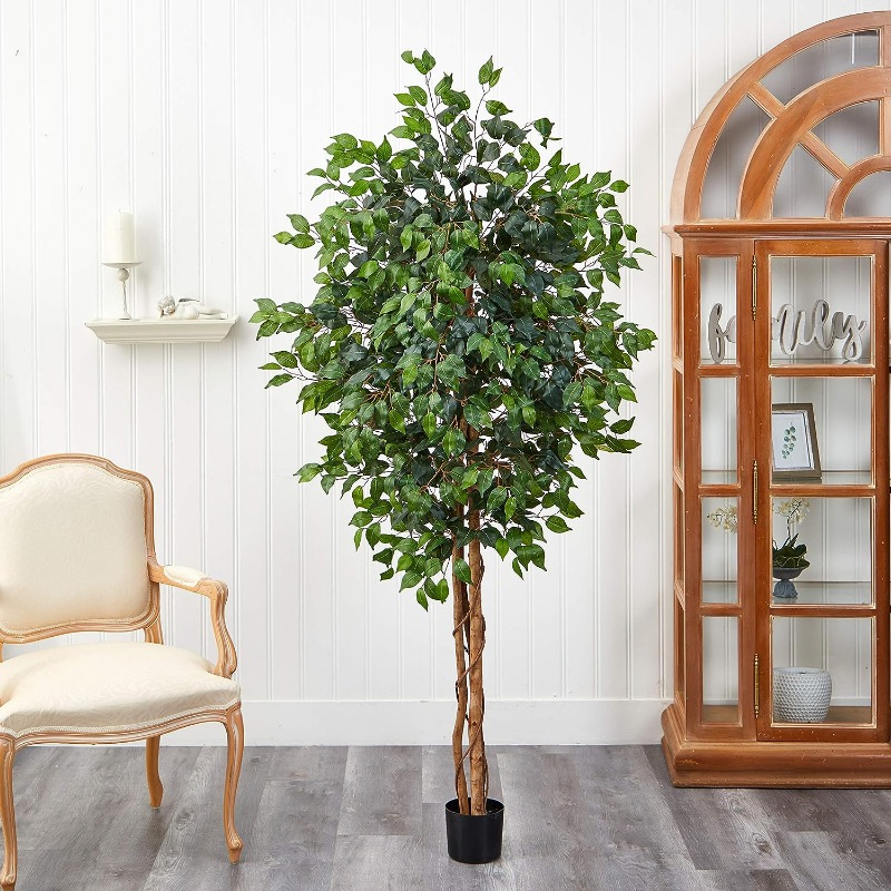 Natural Ficus Silk Tree