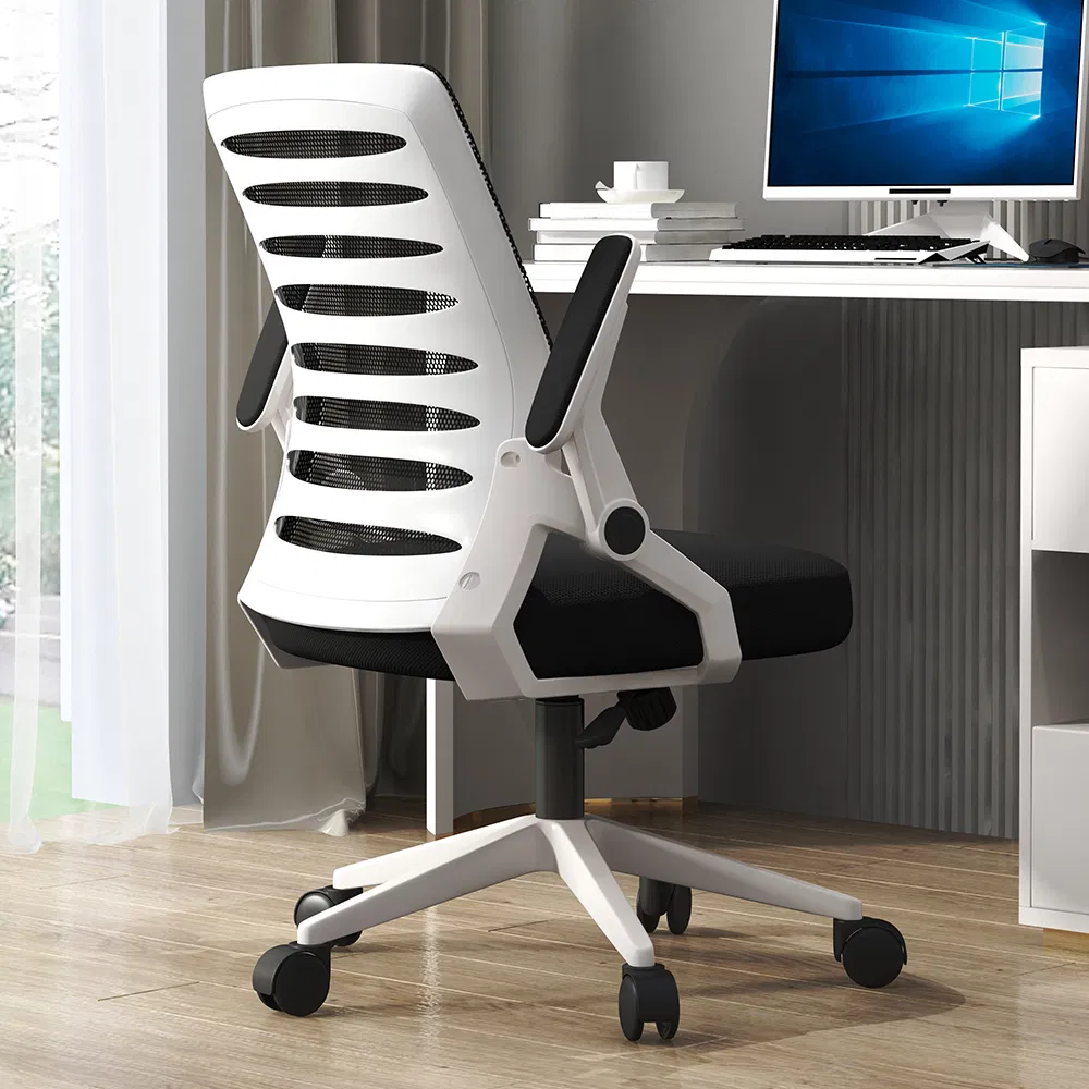 RT-302 Fit Spine Mesh Desk Chair