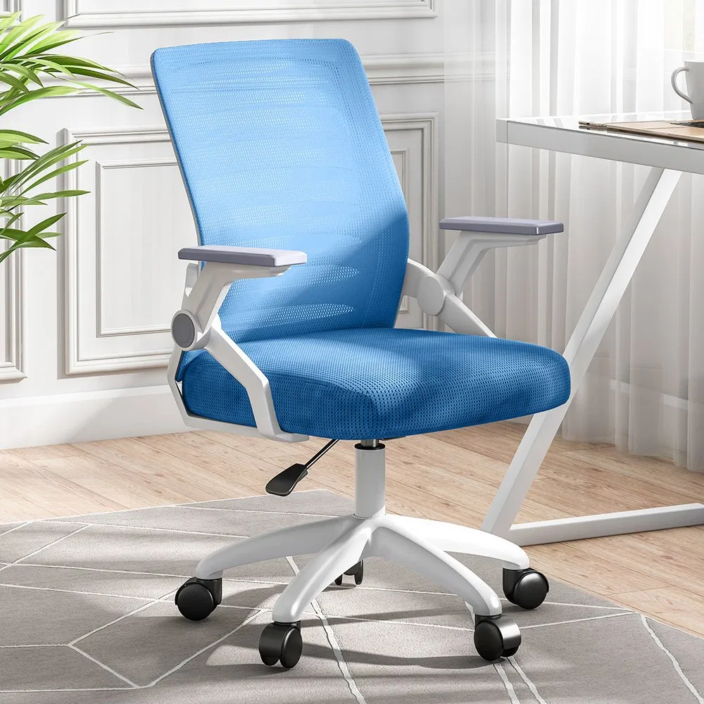 RT-302 Fit Spine Mesh Desk Chair
